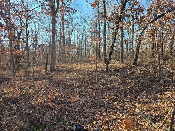Lot 13 Denver Lane, Bella Vista, AR 72714