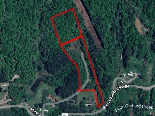 475 Plum Orchard Lake Rd, Scarbro, WV 25917