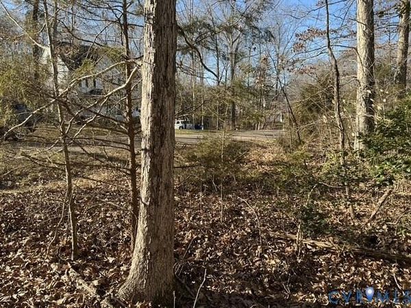 12225 Tavern Hill Court, Chesterfield, VA 23832