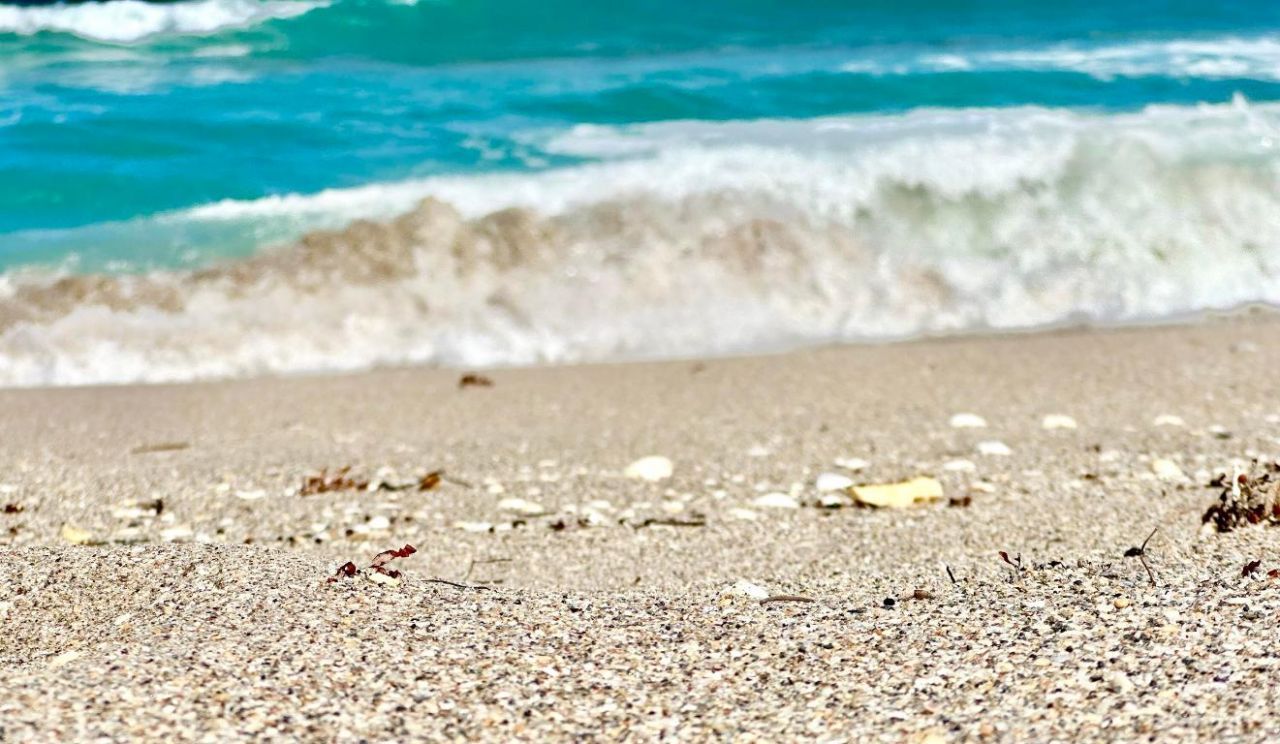 5400 N Ocean Drive, Unit 5c, Singer Island, FL 33404 Photo