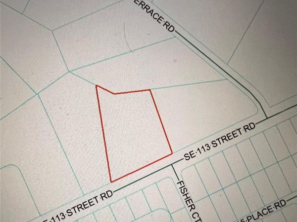 TBD SE 113TH STREET ROAD, OCKLAWAHA, FL 32179