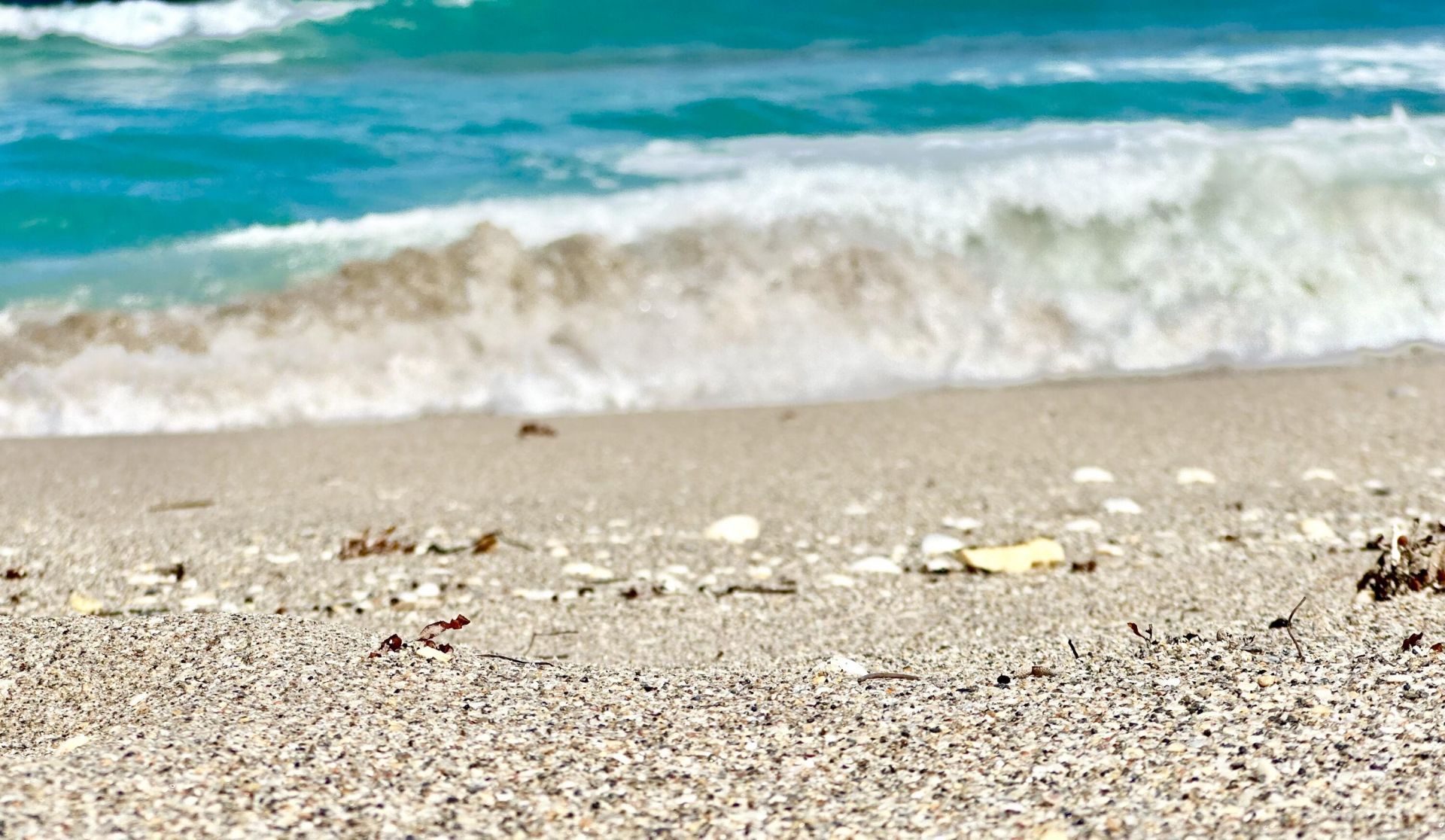 5400 N Ocean Drive, Unit 7b, Singer Island, FL 33404 Photo