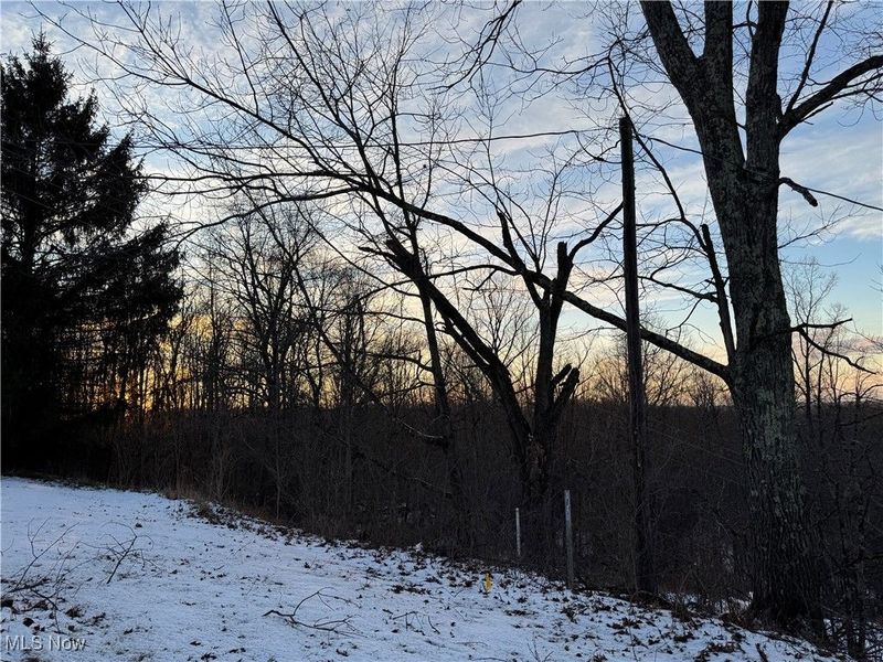 34467 State Route 800, New Matamoras, OH 45767 Photo 42