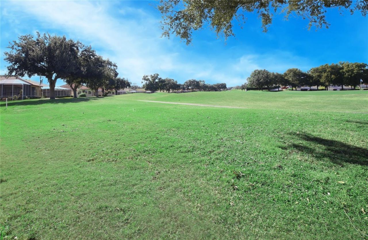 23 W Mickey Mantle Path, Hernando, FL 34442 Photo