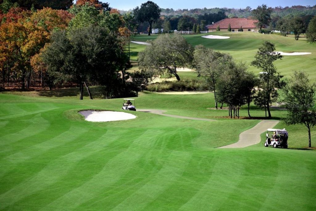 23 W Mickey Mantle Path, Hernando, FL 34442 Photo