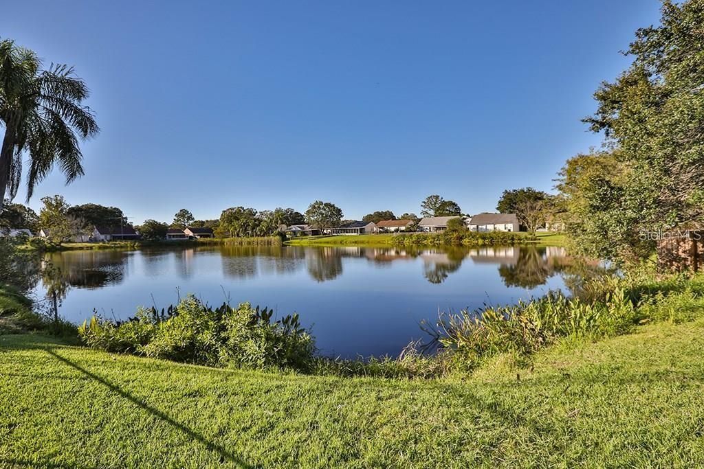 7920 George Washington Lane, Tampa, FL 33637 Photo