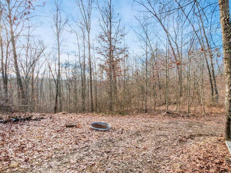 31201 Claypool Hollow Road, McArthur, OH 45651 Photo 52