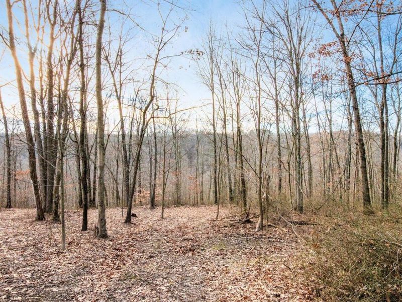 31201 Claypool Hollow Road, McArthur, OH 45651 Photo 54