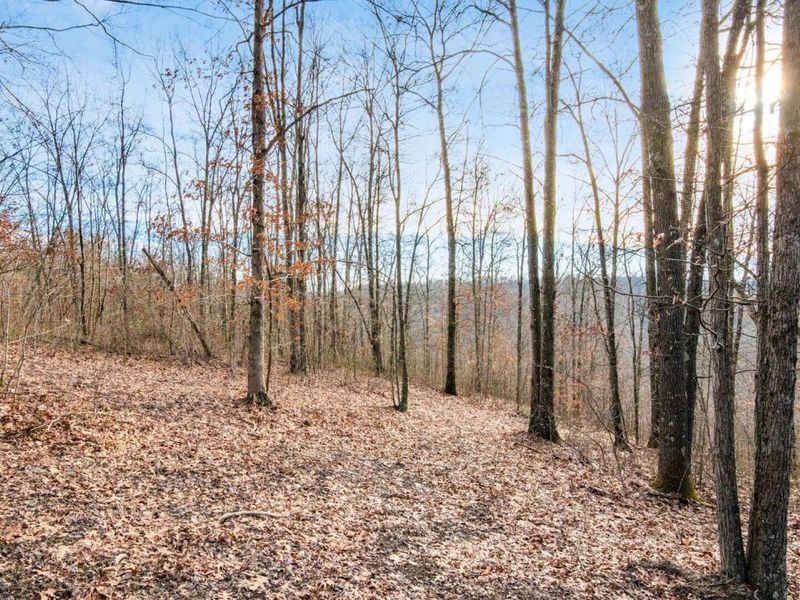 31201 Claypool Hollow Road, McArthur, OH 45651 Photo 55