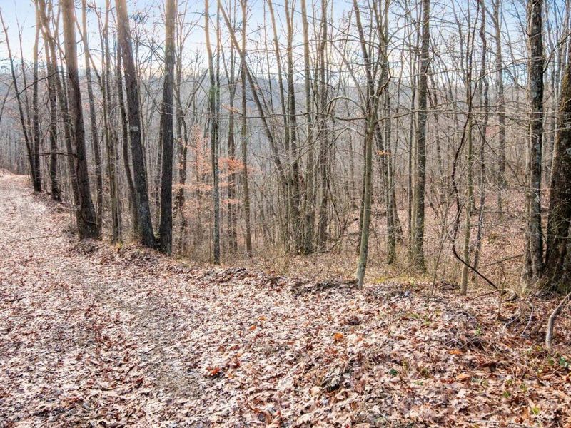 31201 Claypool Hollow Road, McArthur, OH 45651 Photo 58