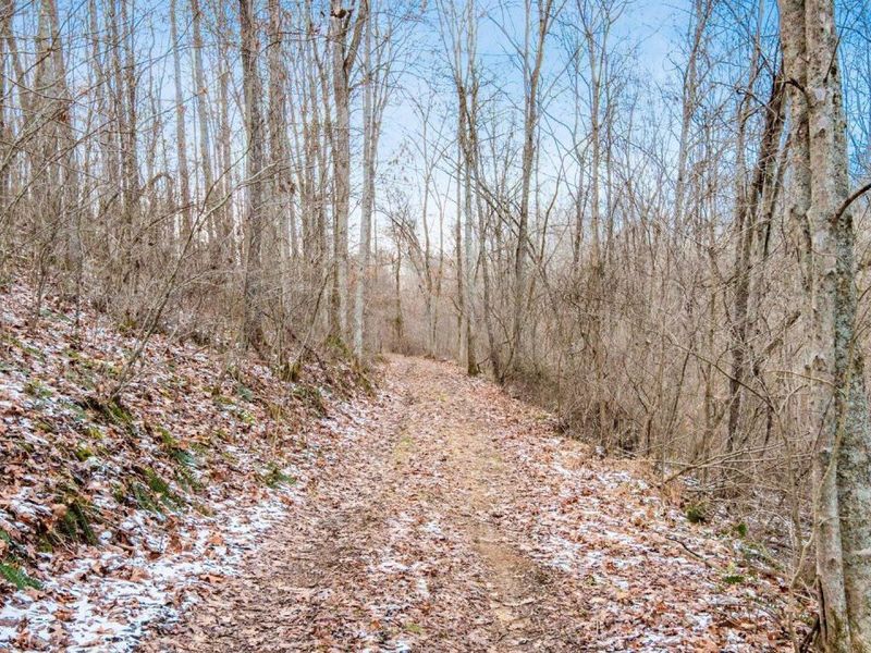 31201 Claypool Hollow Road, McArthur, OH 45651 Photo 59