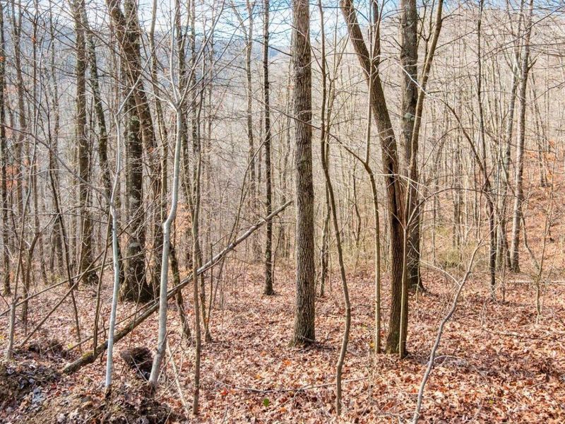 31201 Claypool Hollow Road, McArthur, OH 45651 Photo 60