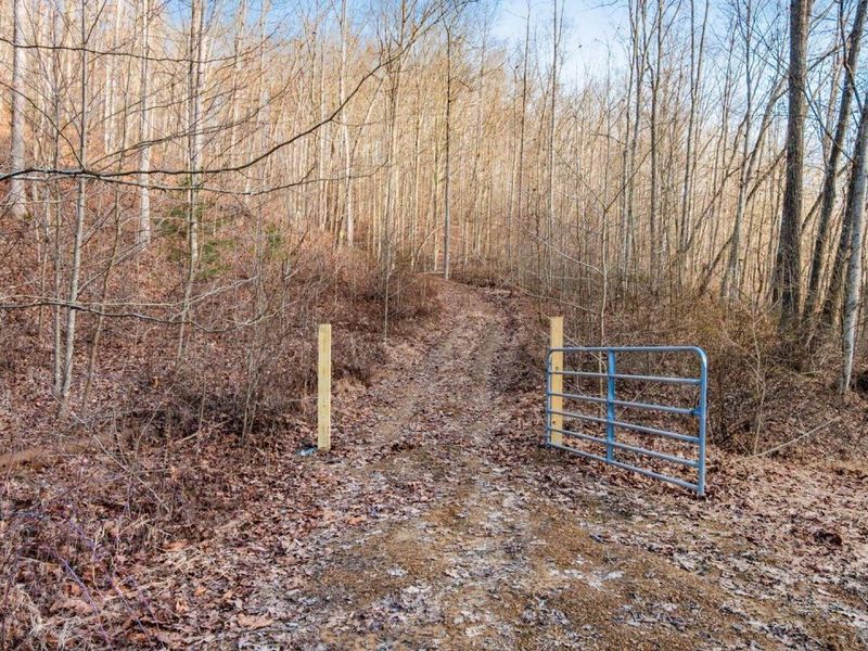 31201 Claypool Hollow Road, McArthur, OH 45651 Photo 62