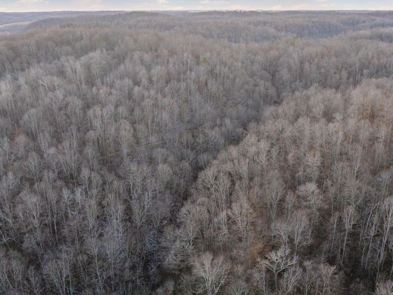 31201 Claypool Hollow Road, McArthur, OH 45651 Photo 78