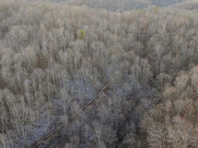 31201 Claypool Hollow Road, McArthur, OH 45651 Photo 79