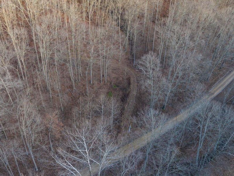 31201 Claypool Hollow Road, McArthur, OH 45651 Photo 87