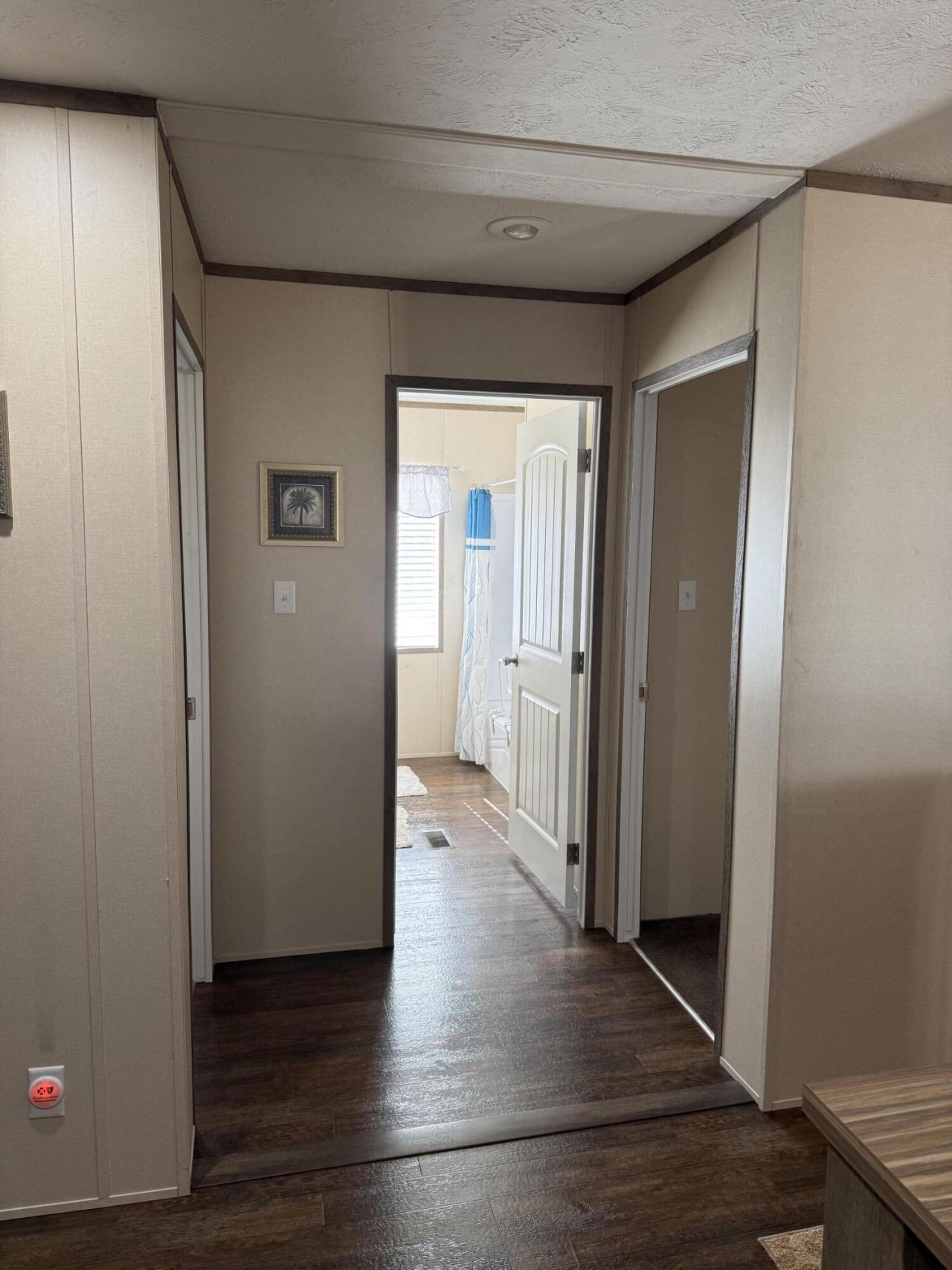 6204 Badham Drive Photo 16