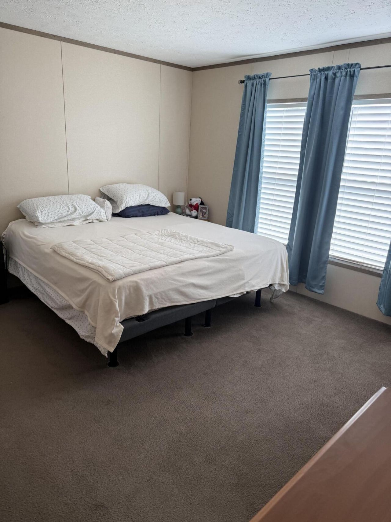 6204 Badham Drive Photo 22