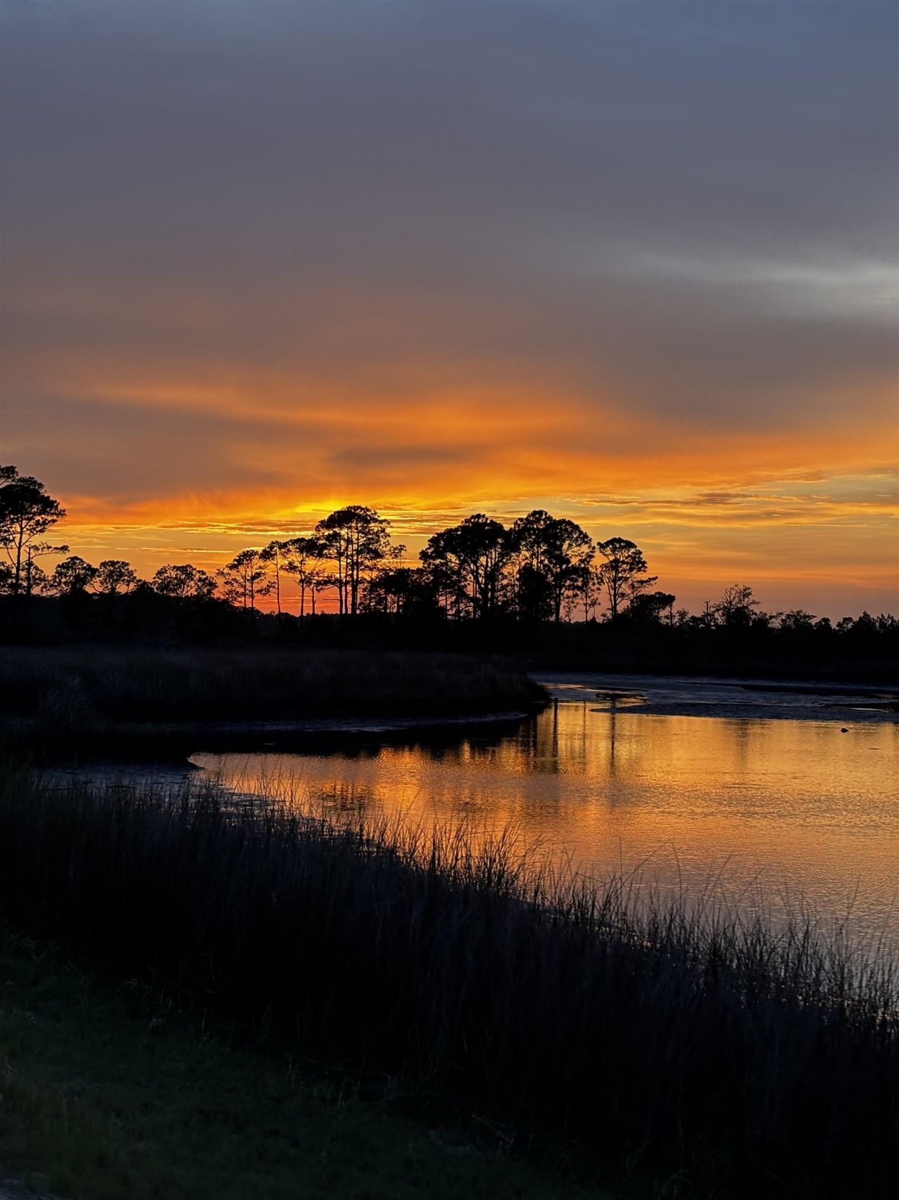 695 Mashes Sands Road, Unit A5, Panacea, FL 32346 Photo