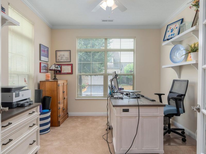 3862 Foresta Grand Drive, Powell, OH 43065 Photo 4