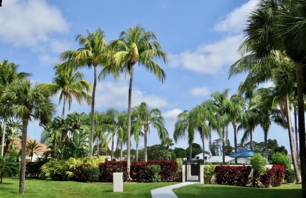 5749 Camino Del Sol, Unit 202, Boca Raton, FL 33433 Photo