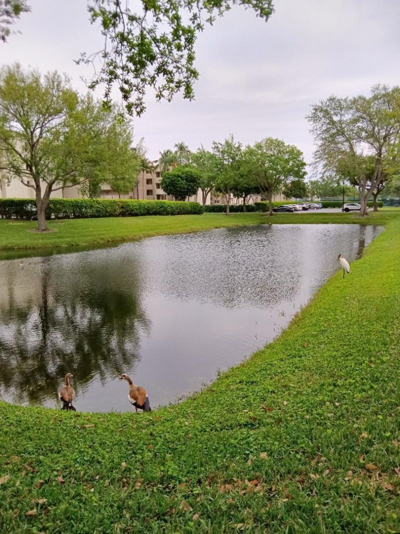 5749 Camino Del Sol, Unit 202, Boca Raton, FL 33433 Photo