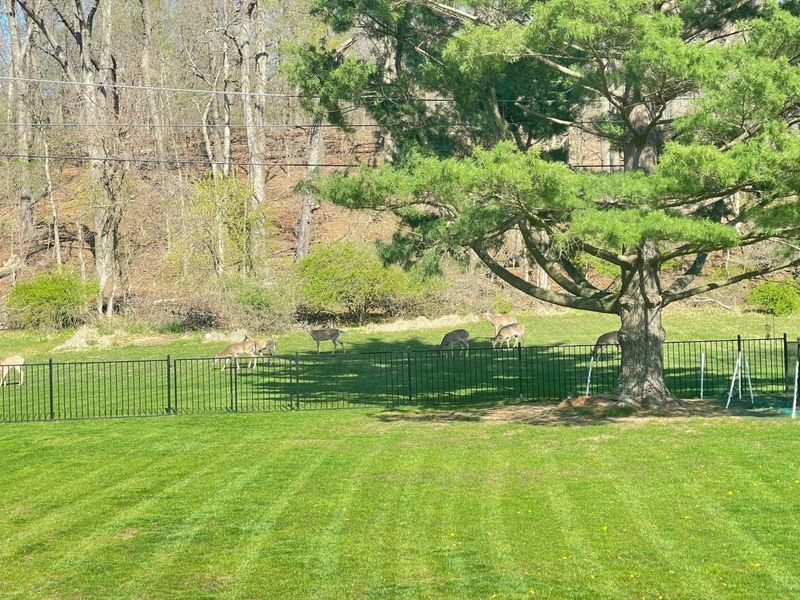 338 Scott Drive, Lancaster, OH 43130 Photo 115