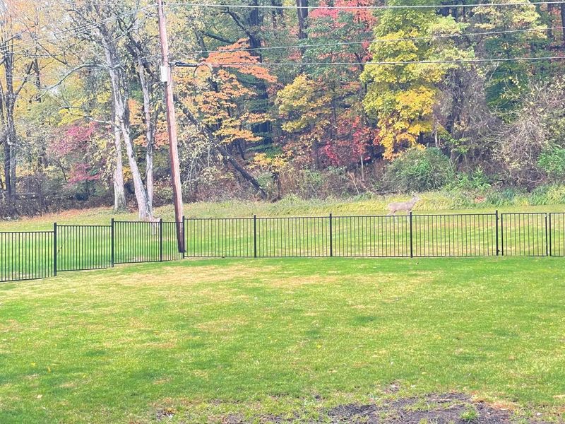 338 Scott Drive, Lancaster, OH 43130 Photo 119