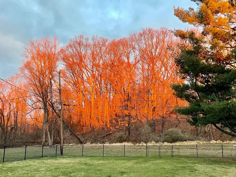 338 Scott Drive, Lancaster, OH 43130 Photo 121