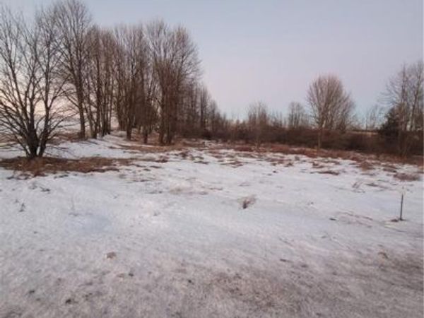 0 County Hwy B Lot 1, Neillsville, WI 54456