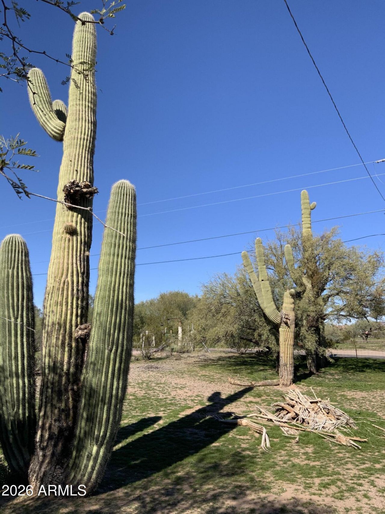 25625 W Rockaway Hills Drive, Morristown, AZ 85342 Main Photo