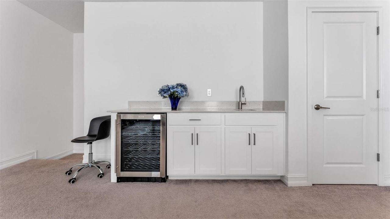 12897 Bergstrom Bay Drive, Riverview, FL 33579 Photo