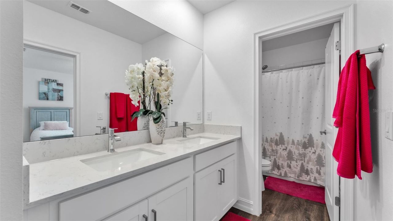 12897 Bergstrom Bay Drive, Riverview, FL 33579 Photo