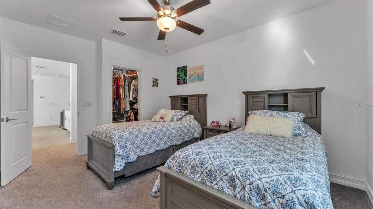 12897 Bergstrom Bay Drive, Riverview, FL 33579 Photo