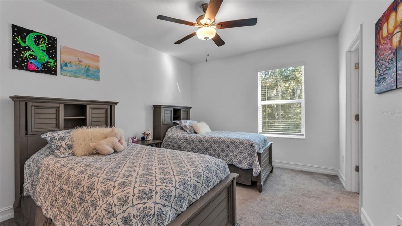 12897 Bergstrom Bay Drive, Riverview, FL 33579 Photo