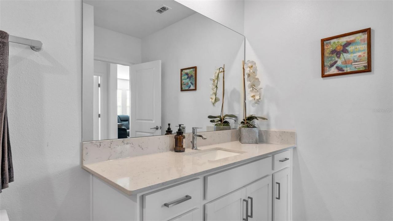 12897 Bergstrom Bay Drive, Riverview, FL 33579 Photo