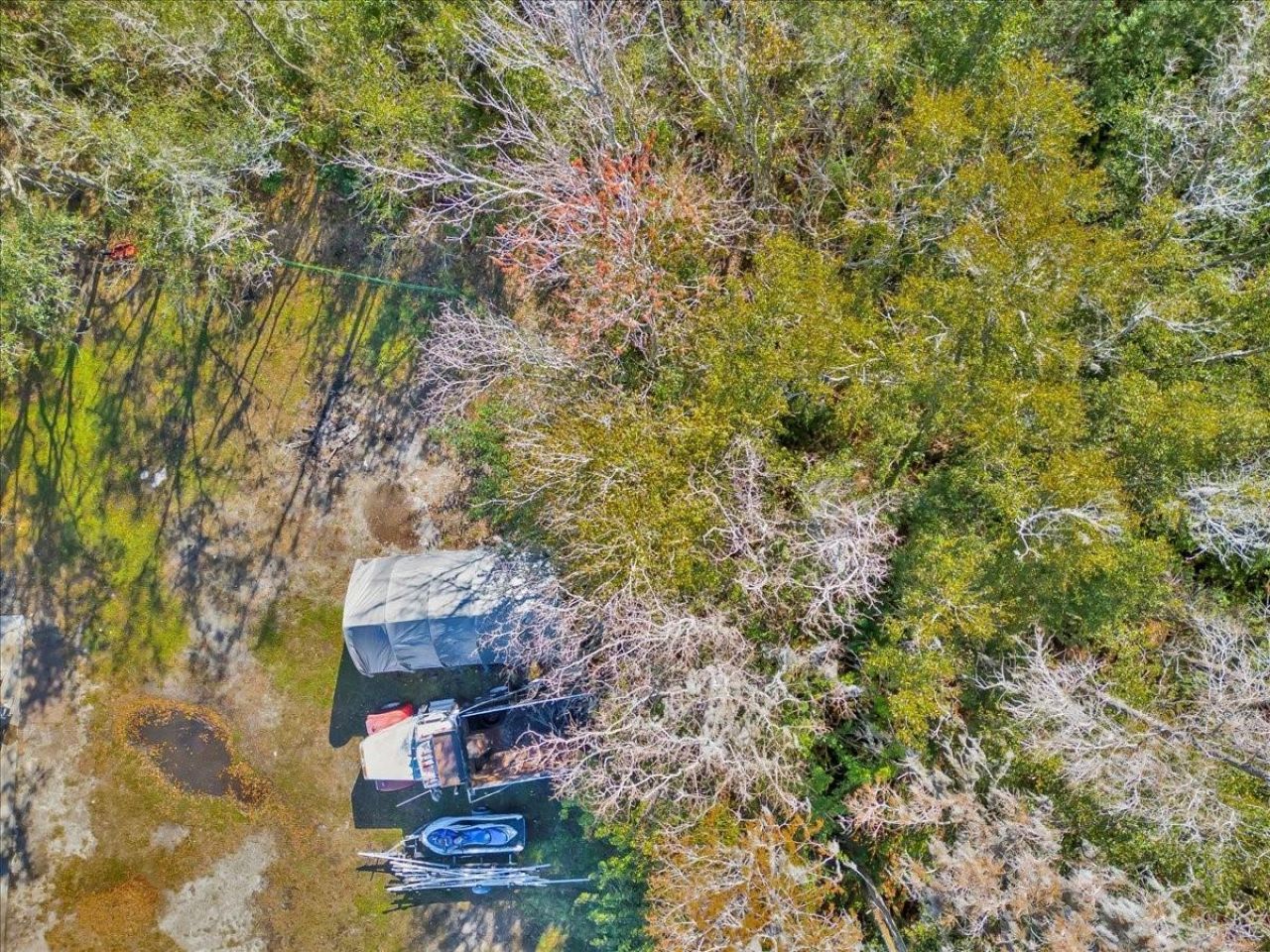 6124 Lynn Road, Tampa, FL 33625 Photo