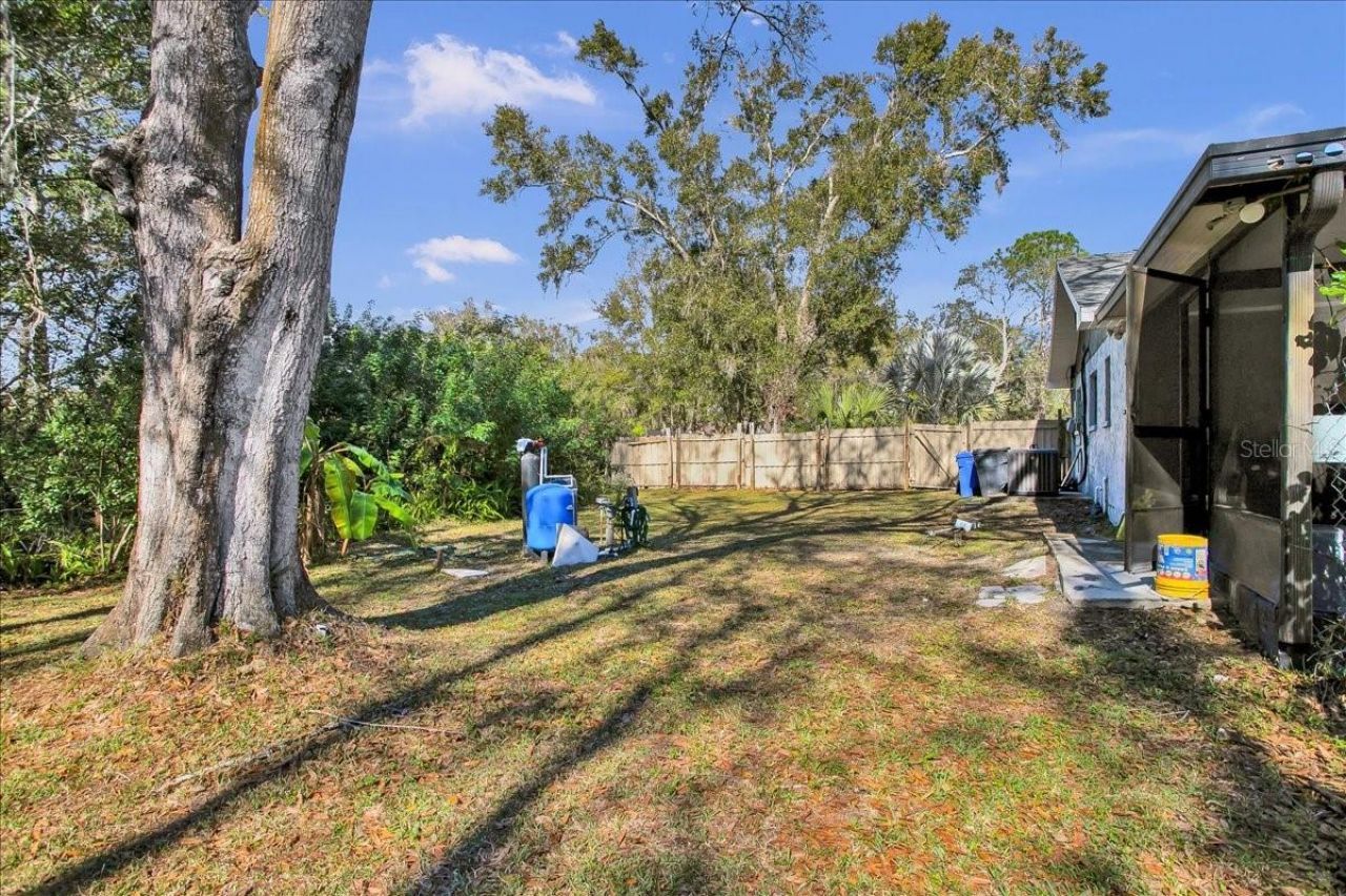 6124 Lynn Road, Tampa, FL 33625 Photo