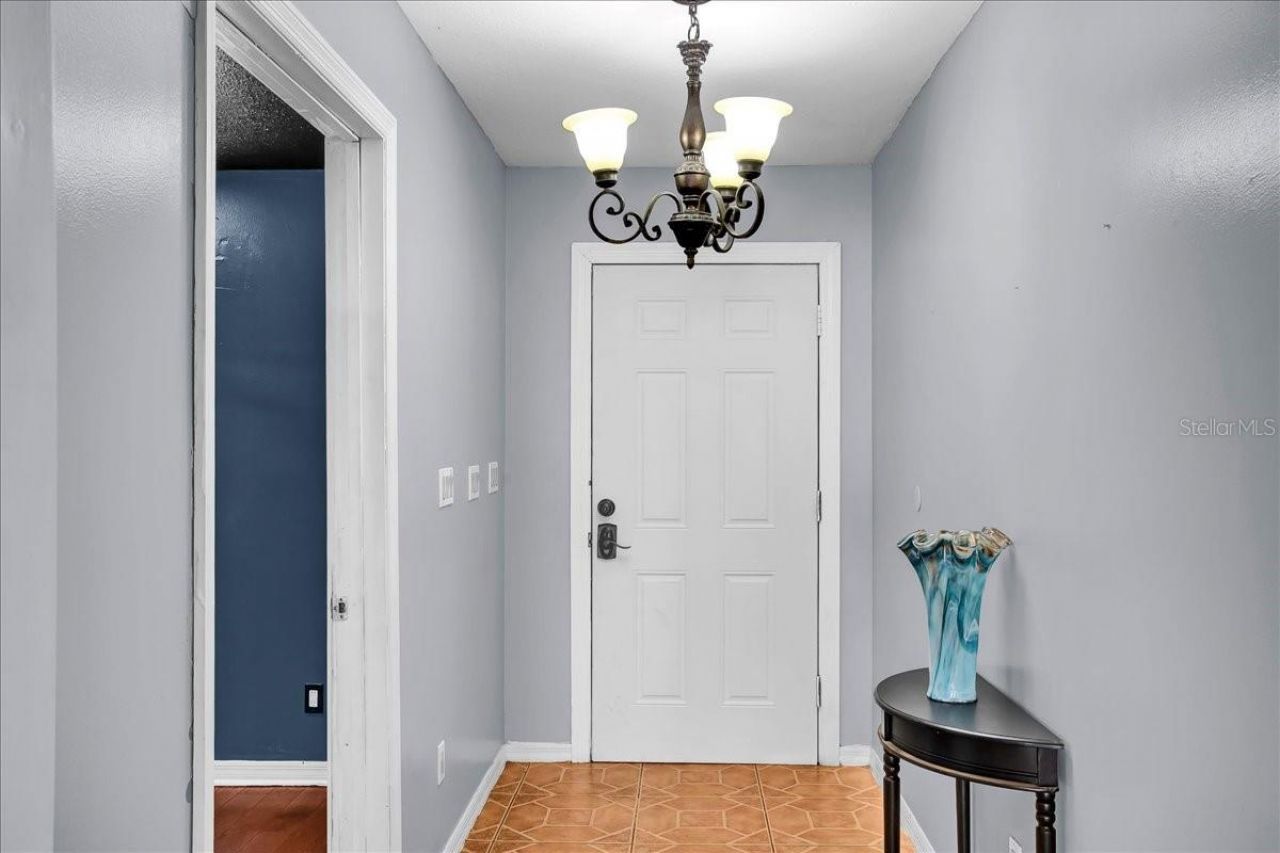 6124 Lynn Road, Tampa, FL 33625 Photo