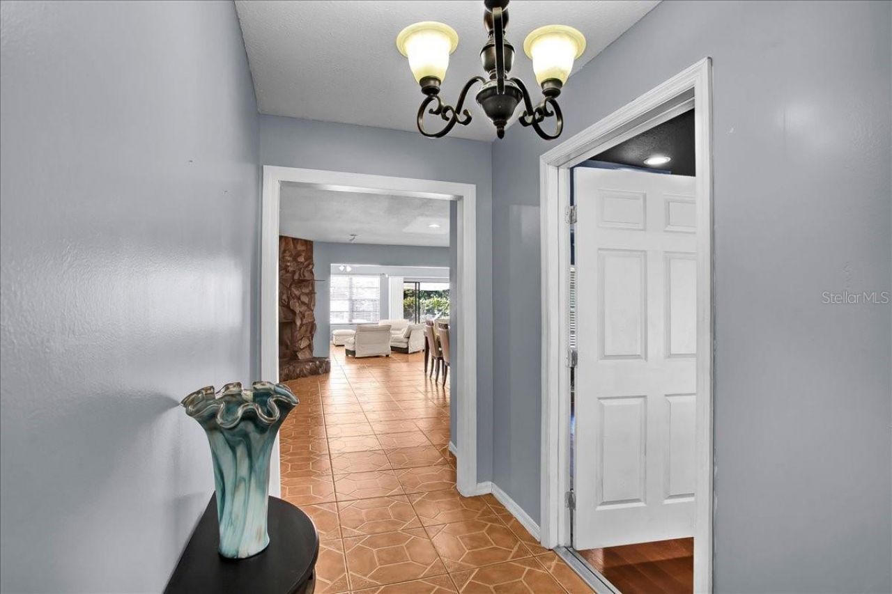 6124 Lynn Road, Tampa, FL 33625 Photo