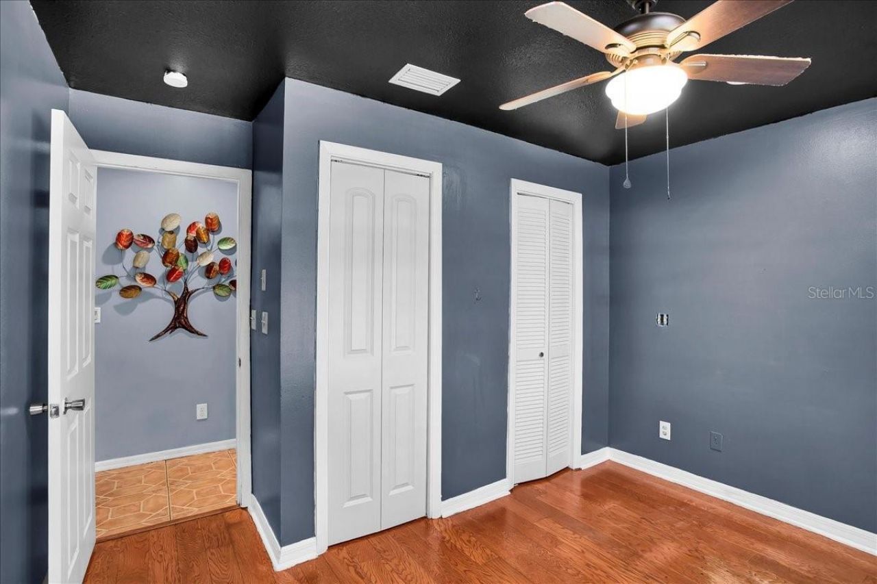 6124 Lynn Road, Tampa, FL 33625 Photo