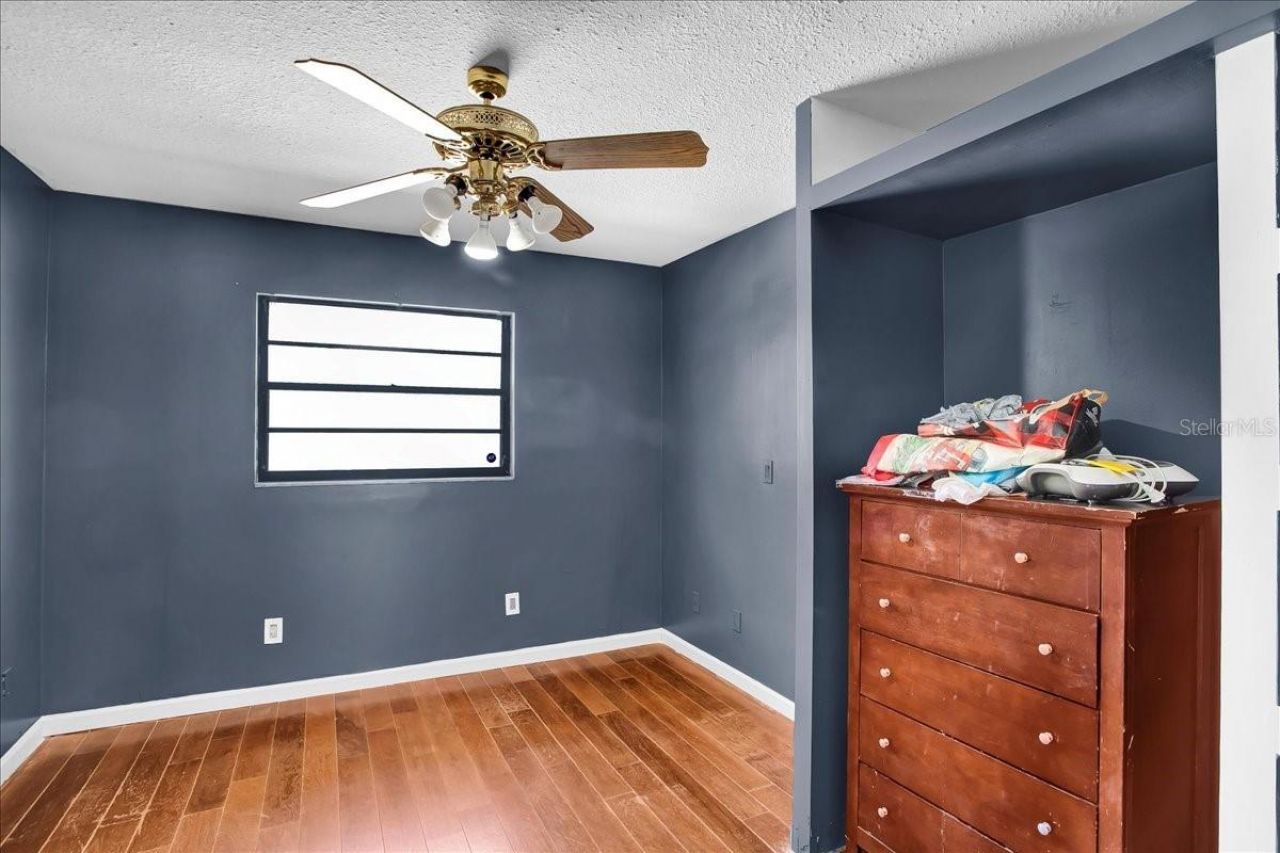 6124 Lynn Road, Tampa, FL 33625 Photo