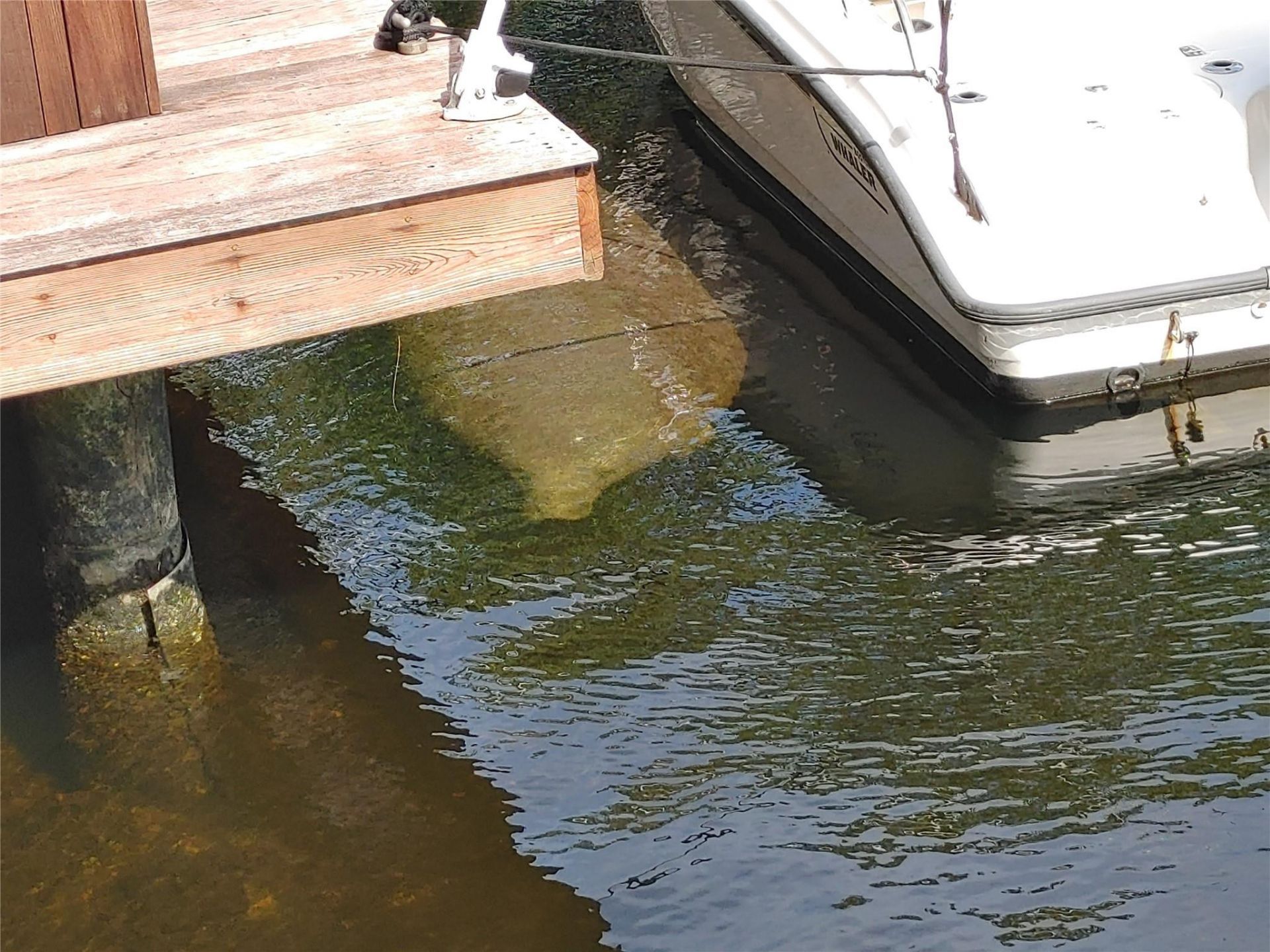 1806 NE 22nd Ter, Fort Lauderdale, FL 33305 Photo