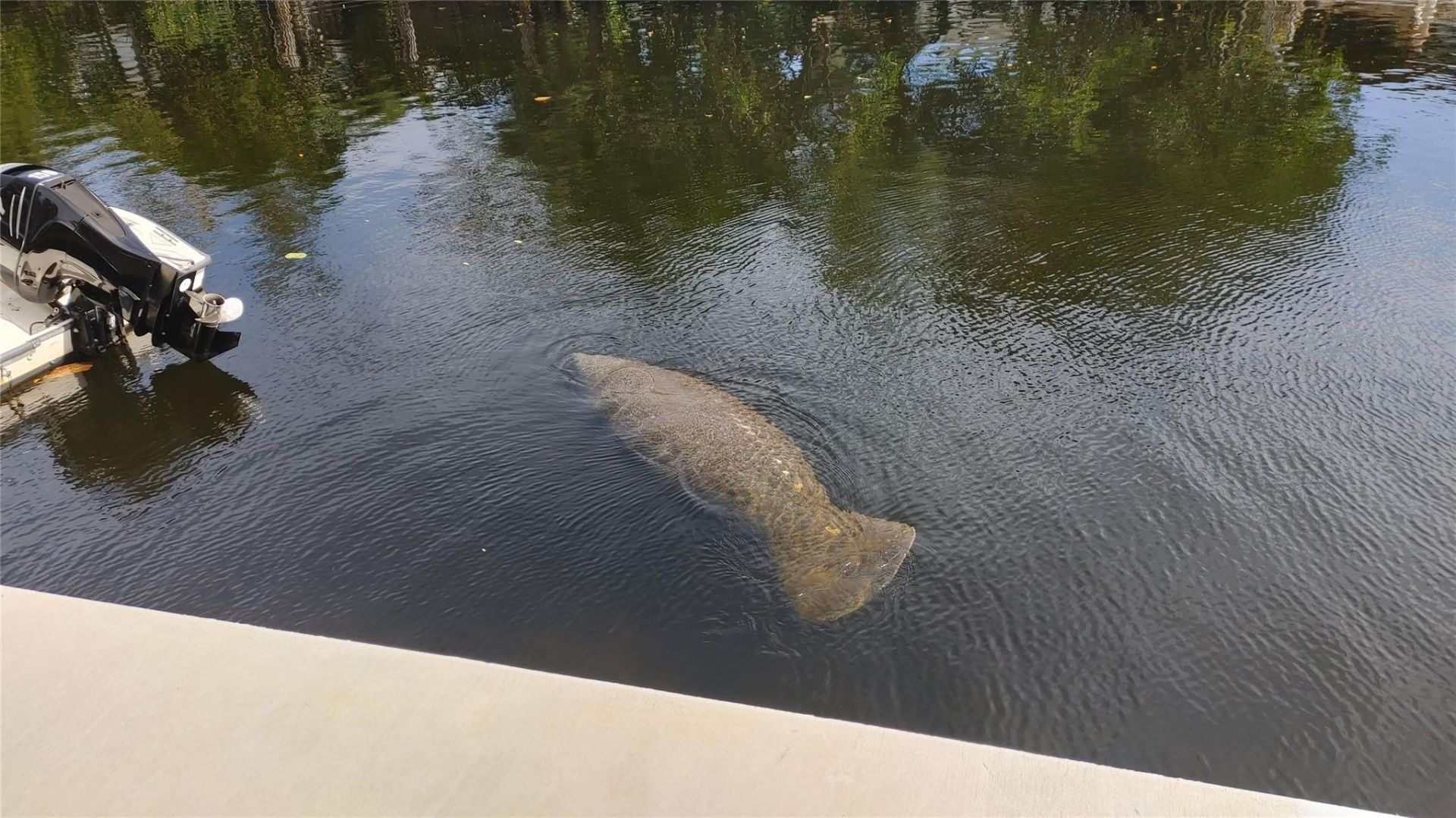 1806 NE 22nd Ter, Fort Lauderdale, FL 33305 Photo