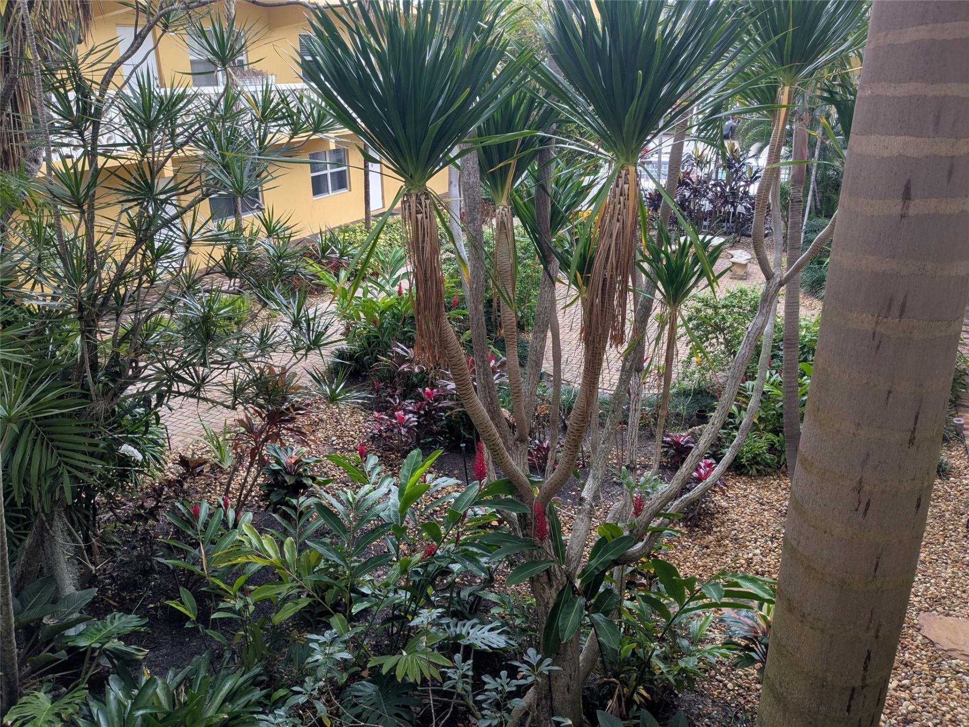 815 Middle River Drive, Unit 215, Fort Lauderdale, FL 33304 Photo