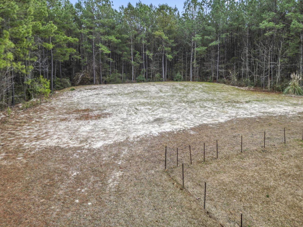 1930 West Homewood Rd. Photo 31