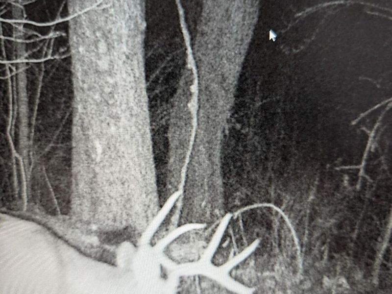 12025 Pleasant Valley Road NE, Frazeysburg, OH 43822 Photo 12