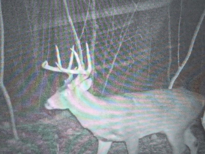 12025 Pleasant Valley Road NE, Frazeysburg, OH 43822 Photo 13