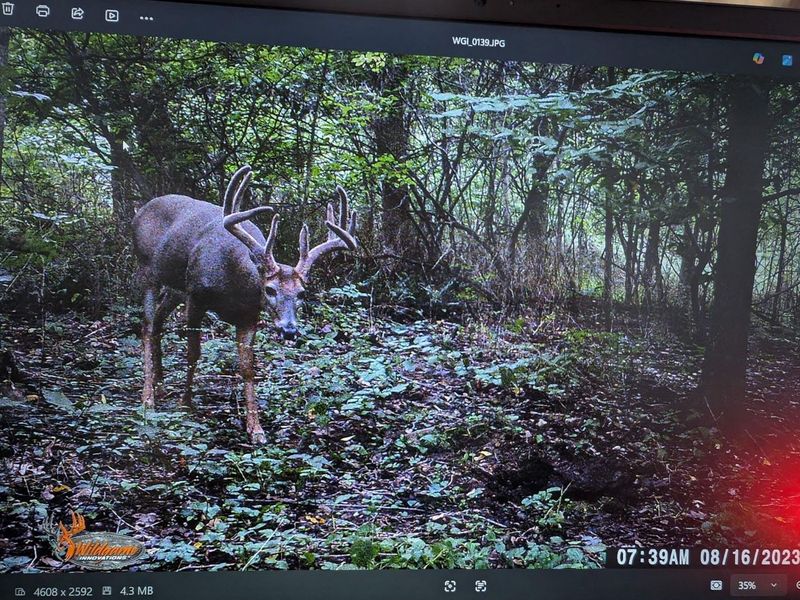 12025 Pleasant Valley Road NE, Frazeysburg, OH 43822 Photo 14