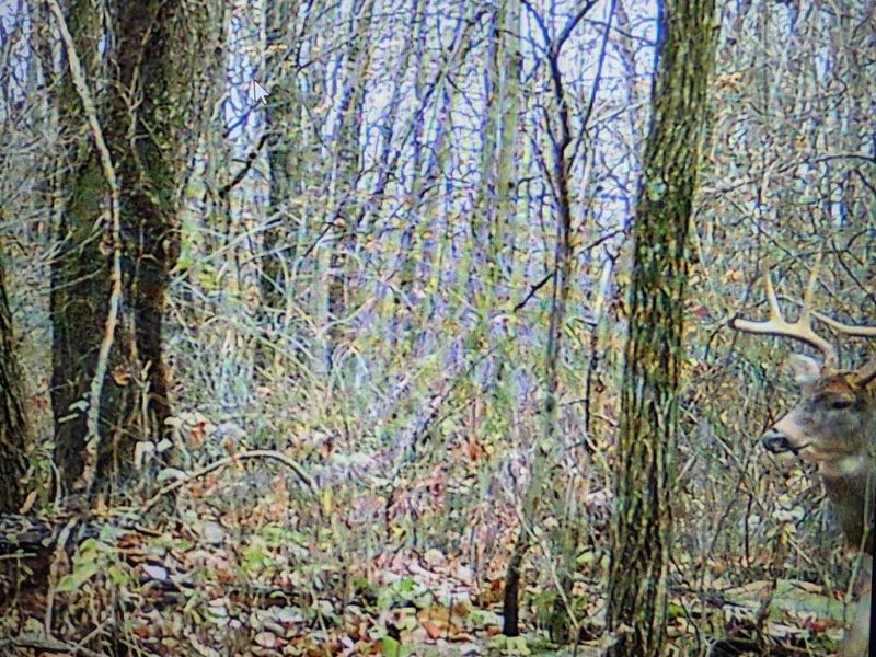 12025 Pleasant Valley Road NE, Frazeysburg, OH 43822 Photo 15